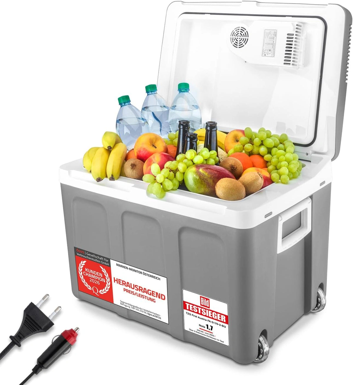 TZS First Austria Elektrische Kühlbox, 45 L, Grau