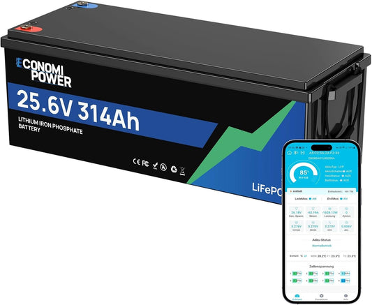 EconomiPower Akku LiFePO4, 7680 Wh, 300 Ah, 24 V