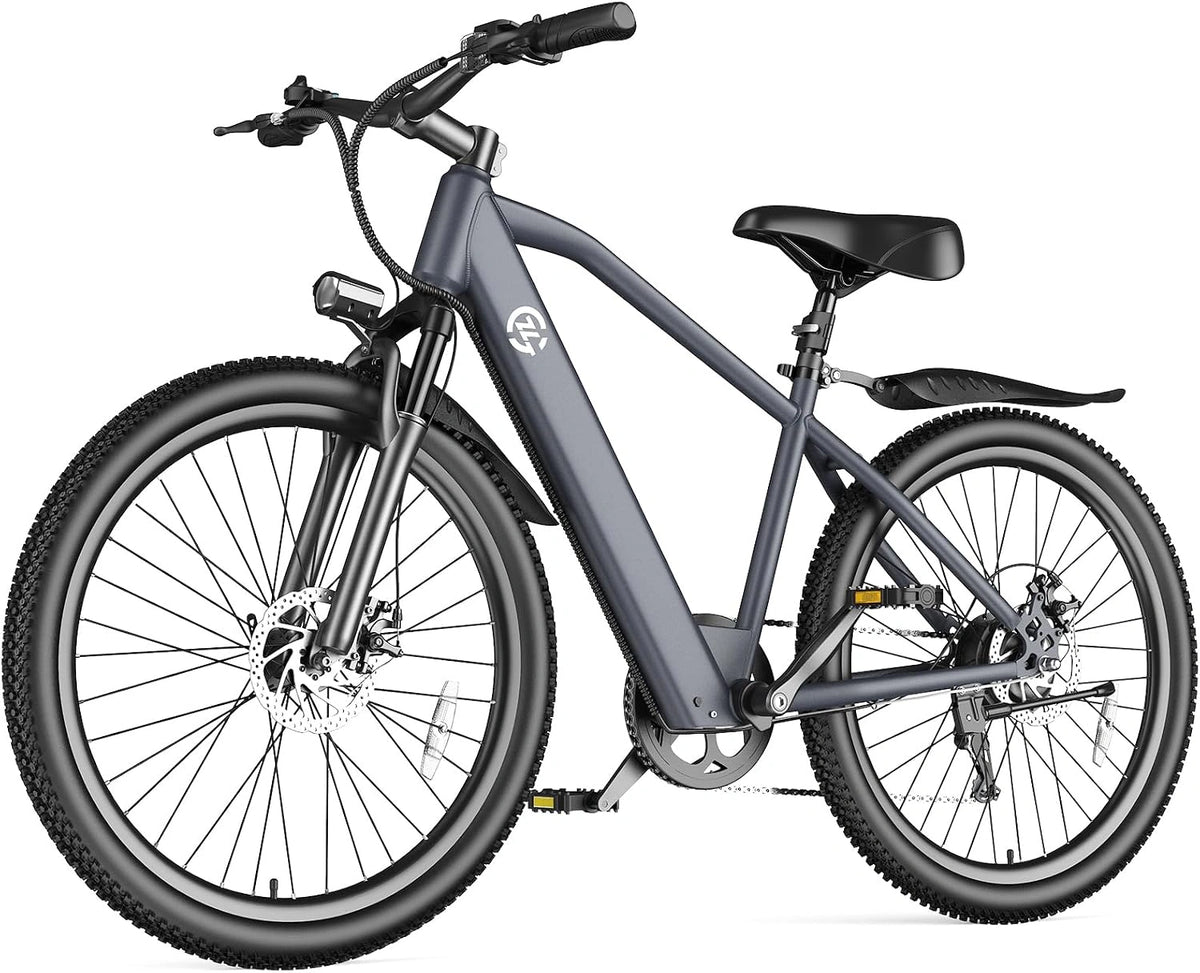 Fanesen E-Bike, 26 Zoll, 10,4 Ah, 36 V